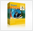 Image of AVT000 Kernel Windows Data Recovery - Technician 1 Year License ID 4533397