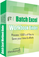 Image of AVT100 Batch Excel Workbook Binder ID 4656565