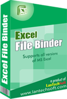 Image of AVT100 Excel File Binder ID 4656486