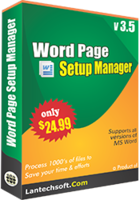 Image of AVT100 Word Page Setup Manager ID 4649839