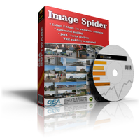 Image of AVT101 GSA Image Spider ID 4607543